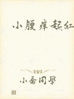 小腹痒起红疙瘩