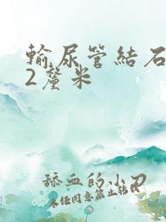 输尿管结石0.2厘米