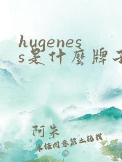 hugeness是什么牌子纸尿裤