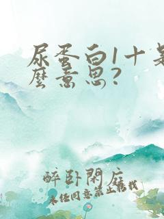 尿蛋白1十是什么意思?