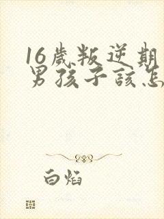 16岁叛逆期的男孩子该怎样去沟通教育