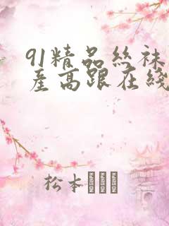 91精品丝袜国产高跟在线