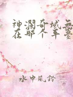 神澜奇域无双珠在哪个平台