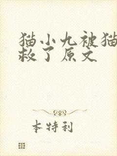 猫小九被猫小天救了原文