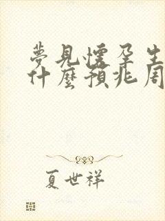 梦见怀孕生子是什么预兆周公解梦