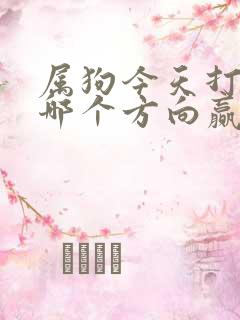 属狗今天打牌坐哪个方向赢