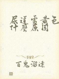 尿道处黄色液体什么原因