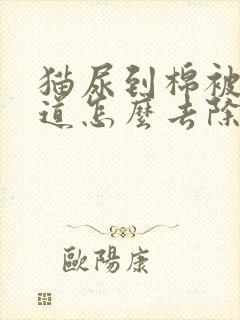 猫尿到棉被上味道怎么去除