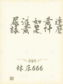 尿液如黄连水一样黄是什么