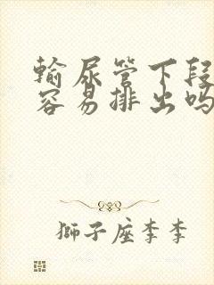 输尿管下段结石容易排出吗