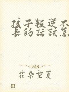 孩子叛逆不听家长的话该怎么办