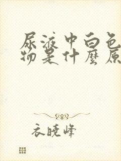 尿液中白色絮状物是什么原因