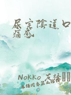 尿完阴道口有刺痛感