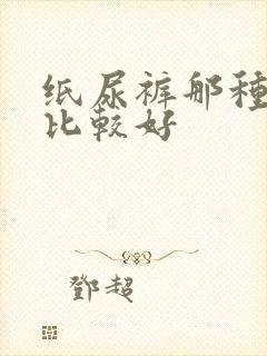 纸尿裤那种牌子比较好