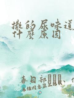 撒的尿味道重是什么原因