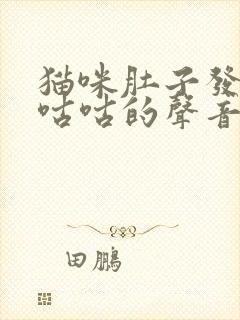 猫咪肚子发出咕咕咕的声音为什么