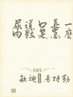 尿道口长一些小肉粒是怎么回事啊已