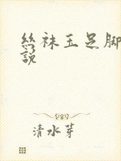 丝袜玉足脚交小说