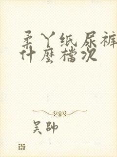 柔丫纸尿裤属于什么档次