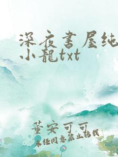 深夜书屋纯洁滴小龙txt