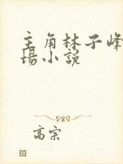 主角林子峰的官场小说