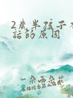 2岁半孩子不说话的原因