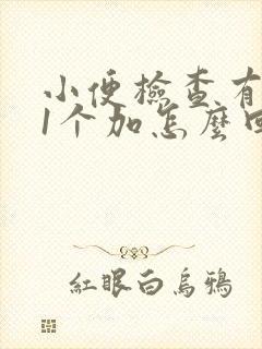 小便检查有隐血1个加怎么回事呢