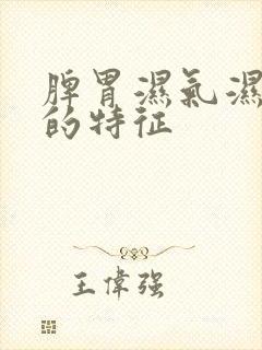 脾胃湿气湿热重的特征