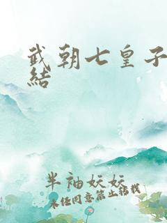 武朝七皇子 完结