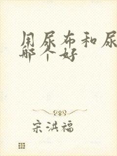 用尿布和尿不湿哪个好