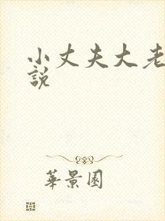 小丈夫大老婆小说