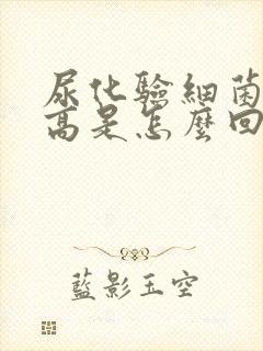 尿化验细菌定量高是怎么回事