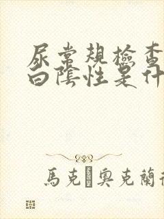 尿常规检查尿蛋白阴性是什么意思