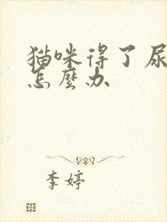 猫咪得了尿闭症怎么办