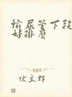 输尿管下段结石好排么