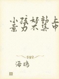 小孩好动上课注意力不集中怎么