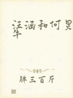 汪涵和何炅谁更牛