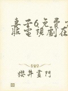 妻子6免费完整版电视剧在线