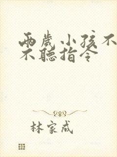 两岁小孩不说话不听指令