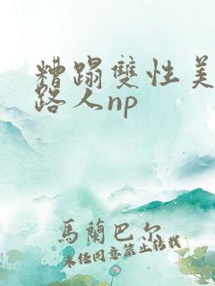 糟蹋双性美人多路人np