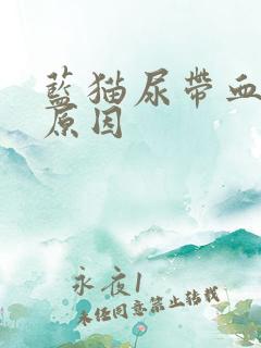 蓝猫尿带血什么原因