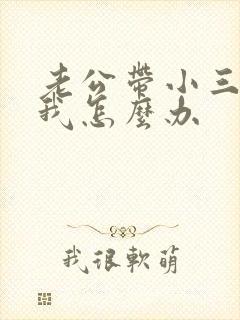 老公带小三回家我怎么办