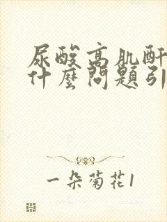 尿酸高肌酐高是什么问题引起的