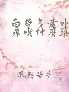 白带多黄外阴还痒吃什么药