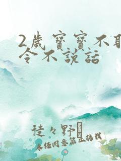 2岁宝宝不听指令不说话