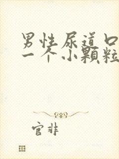 男性尿道口长了一个小颗粒