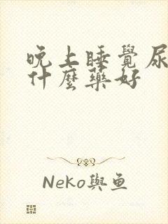 晚上睡觉尿多吃什么药好