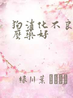 狗消化不良吃什么药好