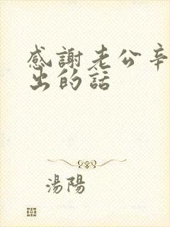 感谢老公辛苦付出的话