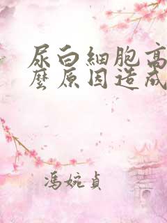 尿白细胞高是什么原因造成的